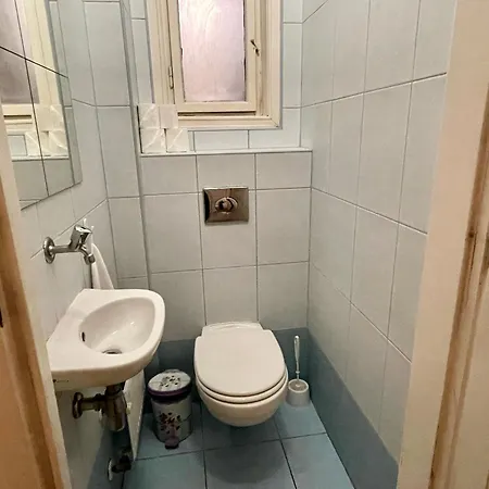 Apartment Carpathia In The City